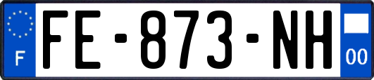 FE-873-NH