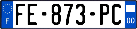 FE-873-PC