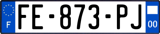 FE-873-PJ