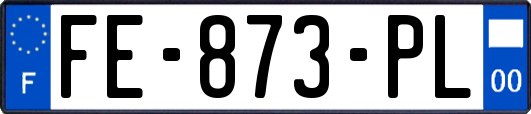 FE-873-PL