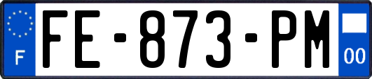FE-873-PM