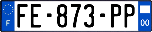 FE-873-PP