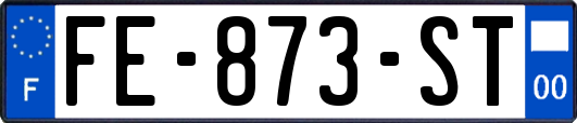FE-873-ST