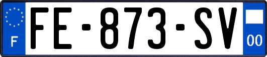 FE-873-SV