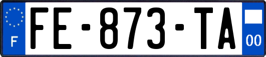 FE-873-TA
