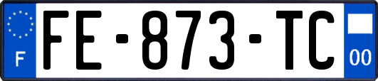 FE-873-TC