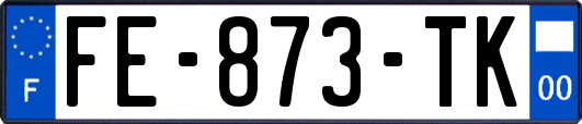 FE-873-TK
