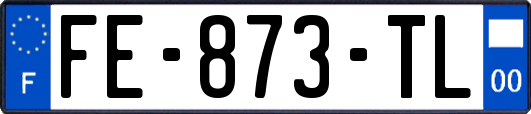 FE-873-TL