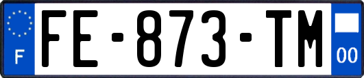 FE-873-TM