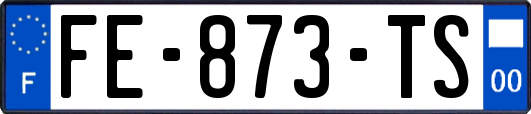 FE-873-TS