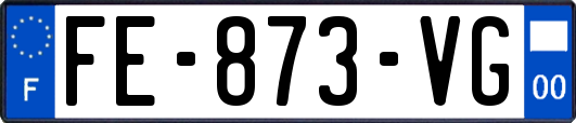FE-873-VG