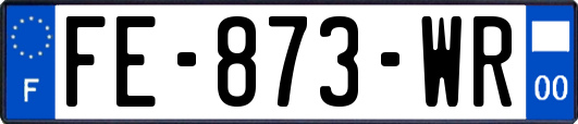 FE-873-WR