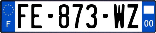 FE-873-WZ