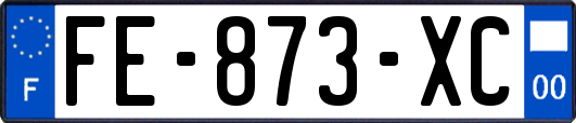 FE-873-XC