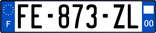 FE-873-ZL