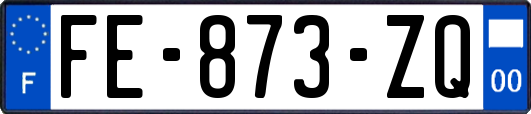 FE-873-ZQ