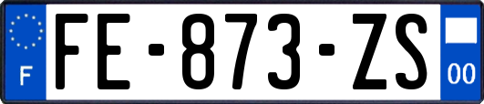 FE-873-ZS