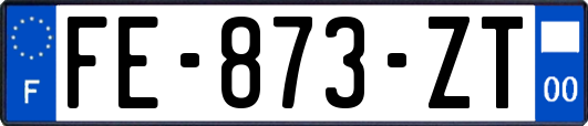 FE-873-ZT