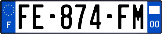 FE-874-FM