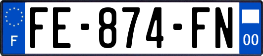 FE-874-FN
