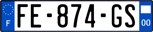 FE-874-GS