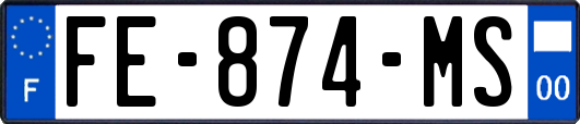 FE-874-MS