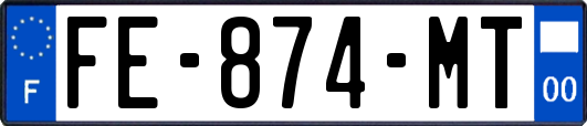 FE-874-MT