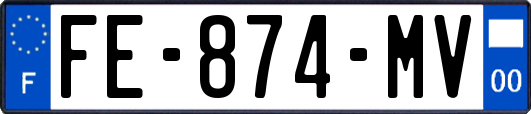 FE-874-MV