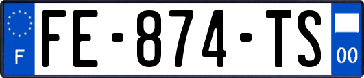 FE-874-TS