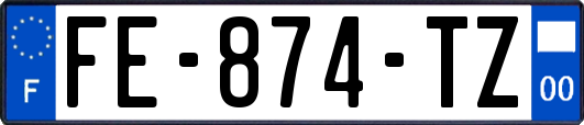 FE-874-TZ