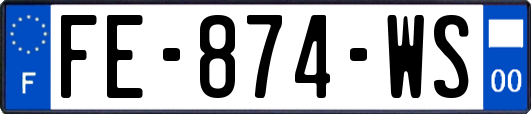 FE-874-WS
