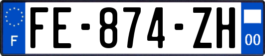 FE-874-ZH