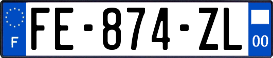 FE-874-ZL