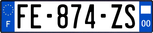 FE-874-ZS