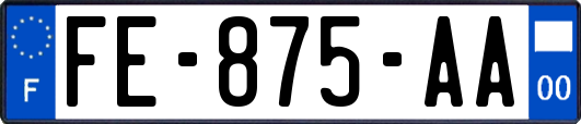 FE-875-AA