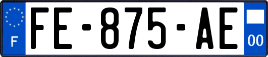 FE-875-AE