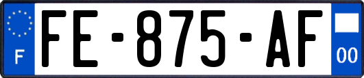 FE-875-AF