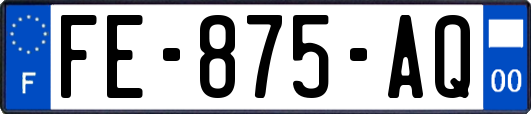 FE-875-AQ