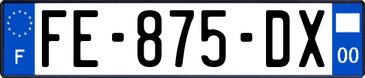FE-875-DX