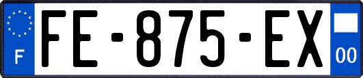 FE-875-EX
