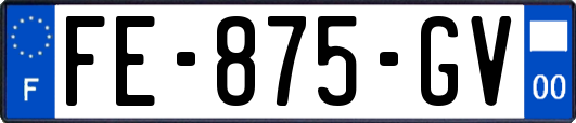 FE-875-GV