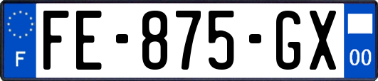 FE-875-GX