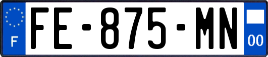 FE-875-MN