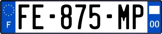 FE-875-MP