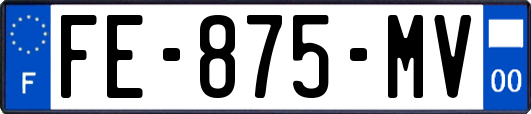 FE-875-MV