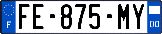 FE-875-MY