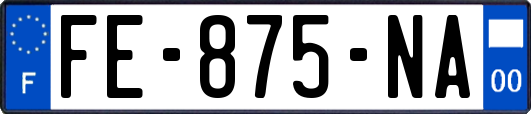 FE-875-NA