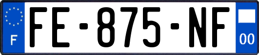 FE-875-NF