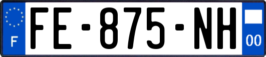 FE-875-NH