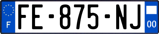 FE-875-NJ
